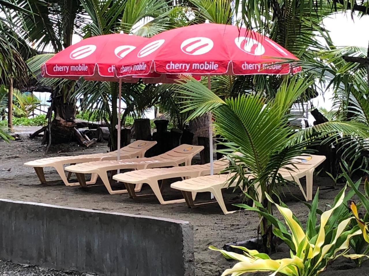 North Shore Surf Camp Hotel Baler Bagian luar foto